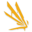 Icarus