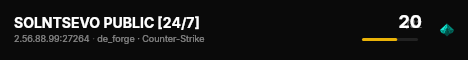 SOLNTSEVO PUBLIC [24/7] live status badge