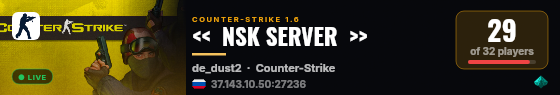 <<  NSK SERVER  >> live status badge