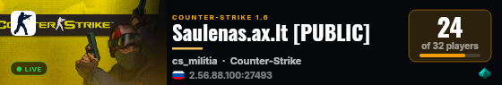 Saulenas.ax.lt [PUBLIC] live status badge