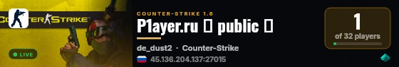 P1ayer.ru 『 public 』 live status badge