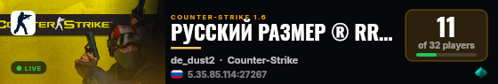 РУССКИЙ РАЗМЕР ® RR-GAME.RU live status badge