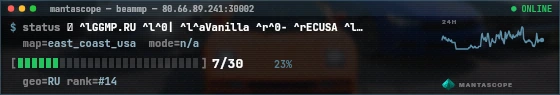 Console badge preview