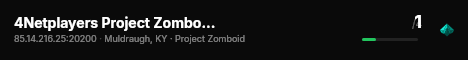 4Netplayers Project Zomboid Server live status badge
