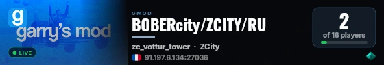 BOBERcity/ZCITY/RU live status badge