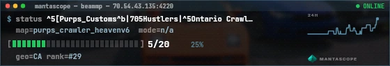 Console badge preview
