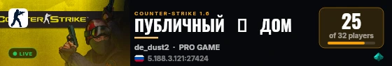 ПУБЛИЧНЫЙ   █   ДОМ live status badge