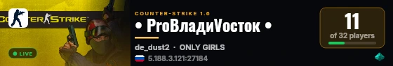 • ProВладиVосток • live status badge