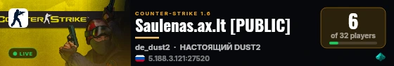 Saulenas.ax.lt [PUBLIC] live status badge