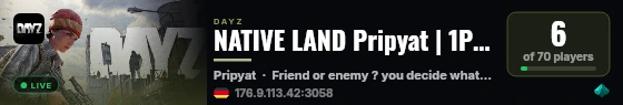 NATIVE LAND Pripyat | 1PP | PVP | Vanilla+ | dsc.gg/nativeland live status badge