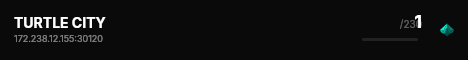 TURTLE CITY live status badge