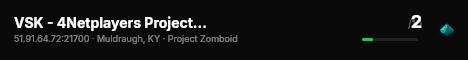 VSK - 4Netplayers Project Zomboid Server live status badge