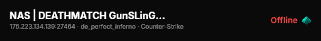 NAS | DEATHMATCH GunSLinGeRs FastDL 1000FPS live status badge