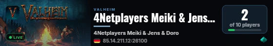 4Netplayers Meiki & Jens & Doro - Valheim Server live status badge