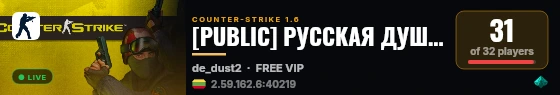 [PUBLIC] РУССКАЯ ДУША 18+ live status badge