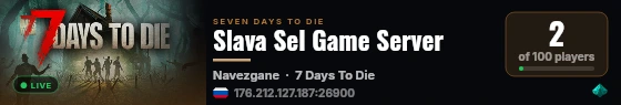 Slava Sel Game Server live status badge