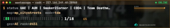 Console badge preview