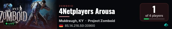 4Netplayers Arousa live status badge