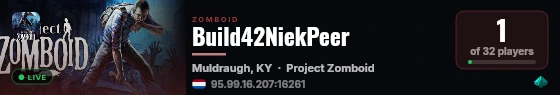 Build42NiekPeer live status badge