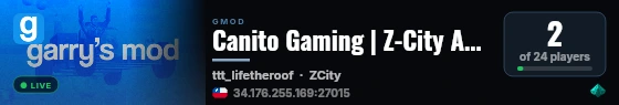 Canito Gaming | Z-City Argentina live status badge