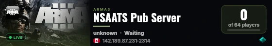 NSAATS Pub Server live status badge