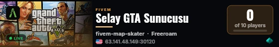 Selay GTA Sunucusu live status badge