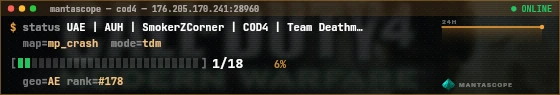 Console badge preview