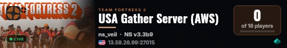USA Gather Server (AWS) live status badge