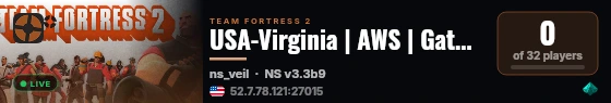 USA-Virginia | AWS | Gather Server live status badge