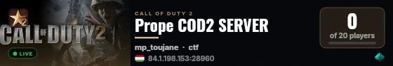Prope COD2 SERVER live status badge
