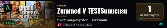 Zummed V TESTSunucusu live status badge