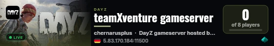 teamXventure gameserver live status badge