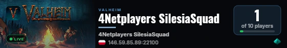4Netplayers SilesiaSquad live status badge