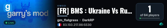 [FR] BMS : Ukraine Vs Russie | Military RP live status badge