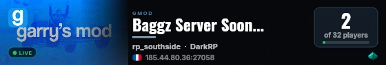Baggz Server Soon... live status badge
