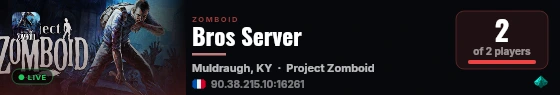 Bros Server live status badge