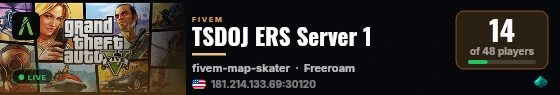 TSDOJ ERS Server 1 live status badge