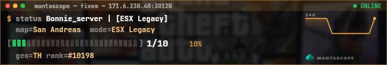 Console badge preview
