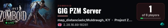 GIG PZM Server live status badge