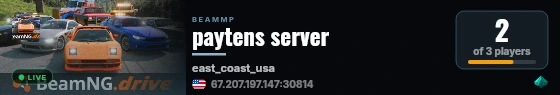 paytens server live status badge