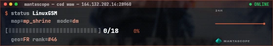 Console badge preview