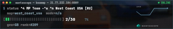Console badge preview