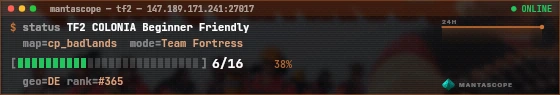 Console badge preview