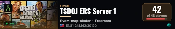 TSDOJ ERS Server 1 live status badge