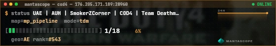 Console badge preview
