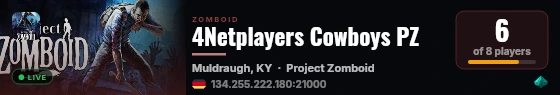 4Netplayers Cowboys PZ live status badge