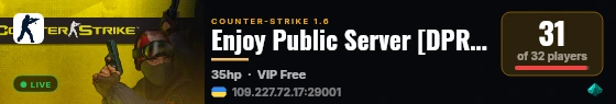 Enjoy Public Server [DPROTO] live status badge
