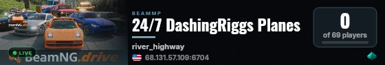 24/7 DashingRiggs Planes live status badge