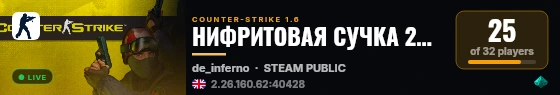 НИФРИТОВАЯ СУЧКА 2024 PUBLIC STEAM live status badge
