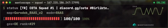 Console badge preview